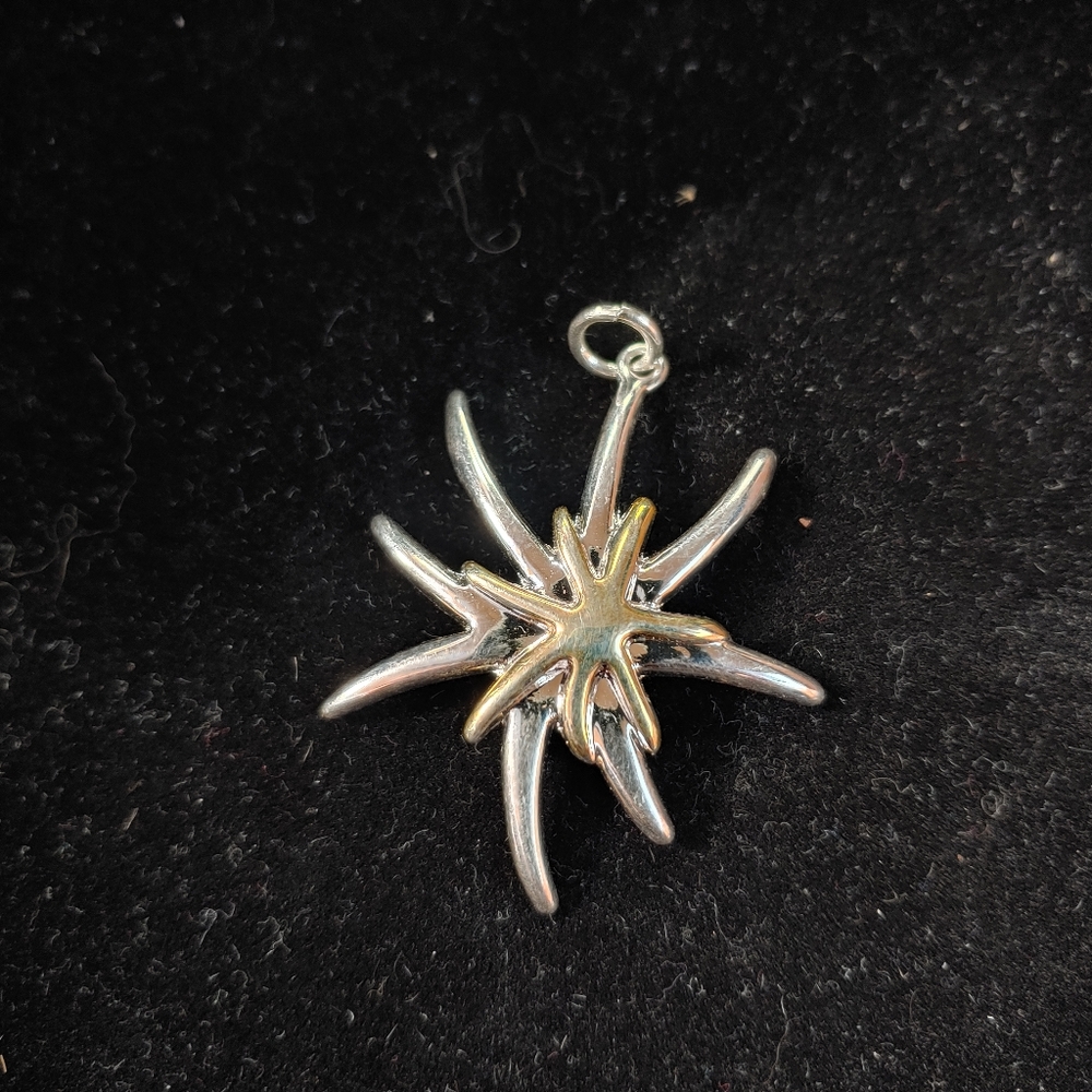 Two Toned Starburst Pendant